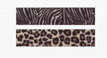 Jungle Nylon Set Dog Leash & Collar, Assorted Colors